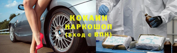 амф Кодинск