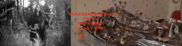 MDMA Козловка