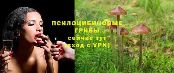 амф Кодинск