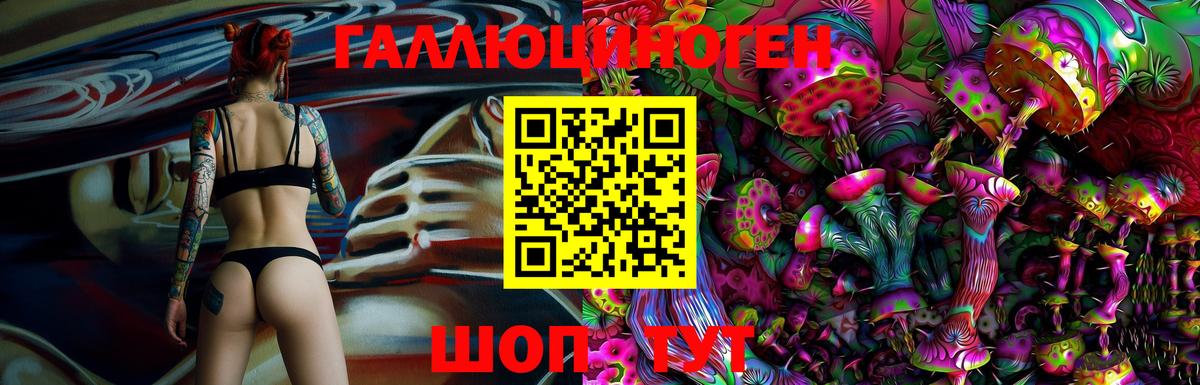 Галлюциногенные грибы прущие грибы  Пятигорск  Псилоцибиновые грибы GOLDEN TEACHER 